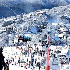 Mount Buller