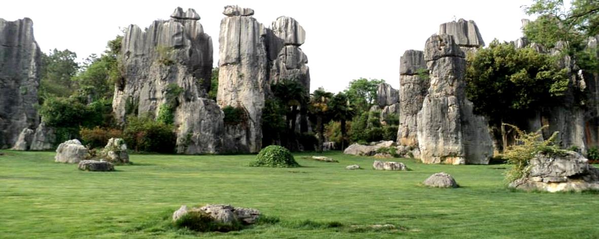 Stone Forest