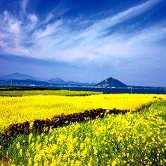 Jeju Island